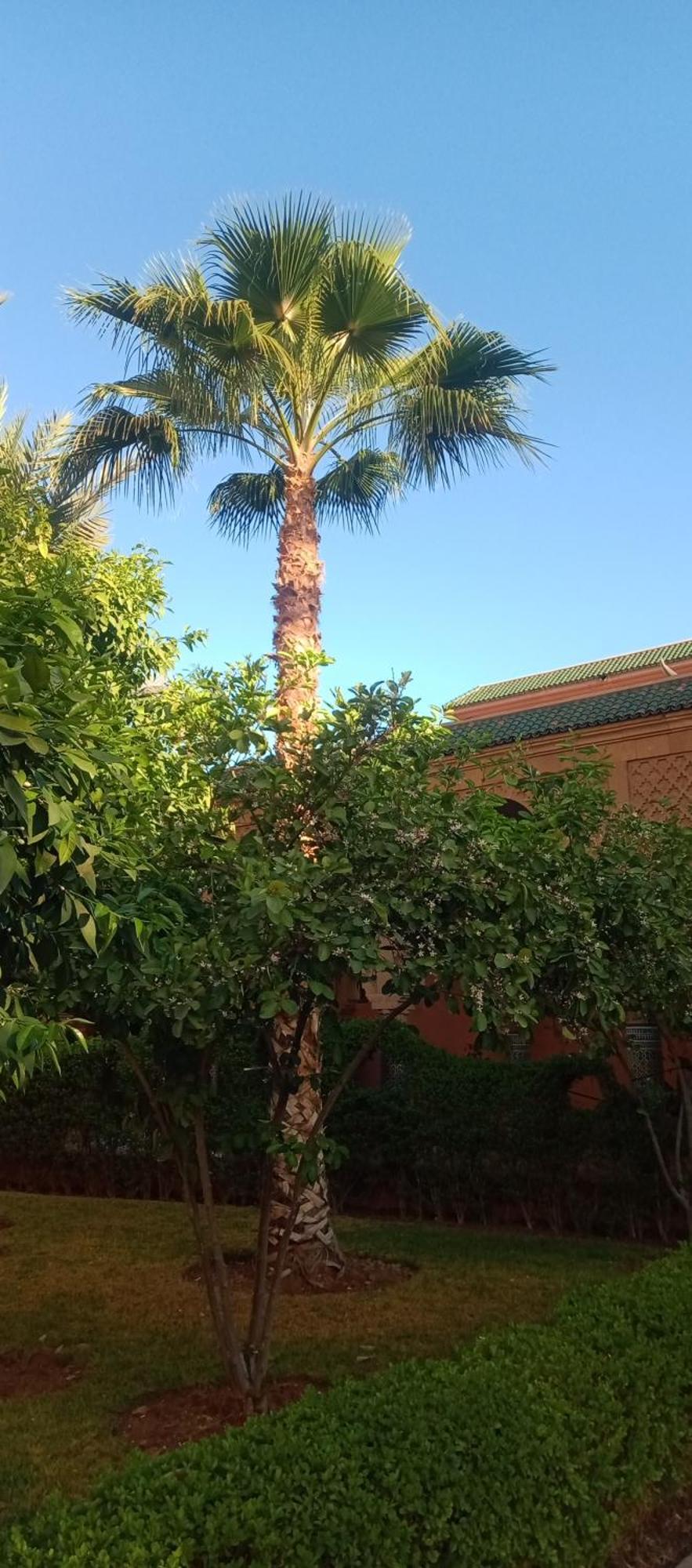 Nour Resorts-riad Nour Travel Holiday home Marrakesh